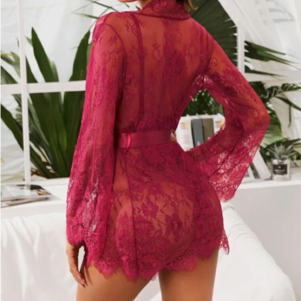 Embroidered mesh lace up bodysuit with robe - Picture 6 of 11